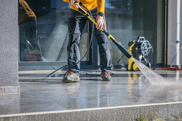 Best Solar Panel Cleaning  in Nanawale Estates, HI